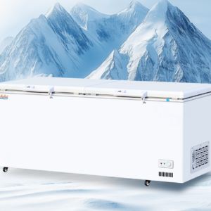 Two Door Stainless Steel Commercial Chest Freezer